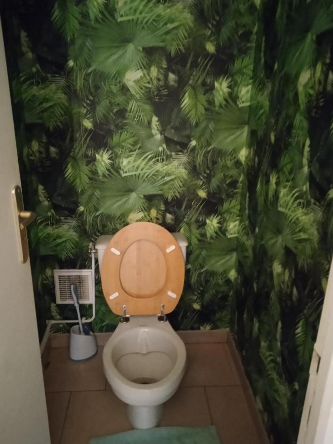 Agreable Maison Entre Zoo Et Chateaux Le Controis-en-Sologne Buitenkant foto